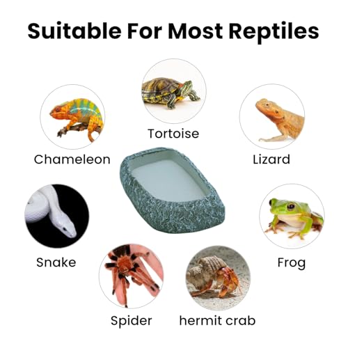 Reptile Feeding Dish, Water Dish and Food Bowl, Resin Rock Reptile Feeding Terrarium Corner Bowls for Bearded Dragon Lizard Frog Gecko Tortoise Hermit Crab Snail