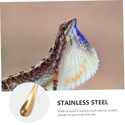 Levemolo 2Pcs Stainless Steel Pet Food Spoon for Reptiles Long Handle Feeding Tool for Lizards Turtles Small Animals Durable and Easy to Use Compact Design