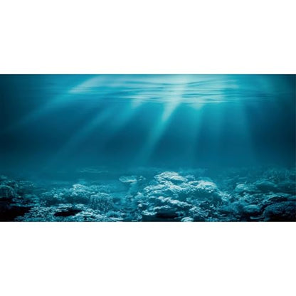 24x12 in Undersea Aquarium Backdrop Underwater World Fish Tank Background | AWERT Sunshine Seabed Blue Coral Terrarium Background Vinyl - size: 24x12in/60x30cm