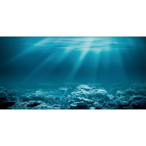 30x12 in Undersea Aquarium Backdrop Underwater World Fish Tank Background | AWERT Sunshine Seabed Blue Coral Terrarium Background Vinyl - size: 30x12in/75x30cm
