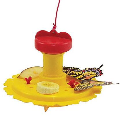 SE78215 Butterfly Feeder/Nectar Combo (Set of 1)