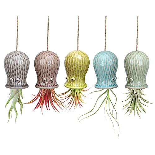 5 Pack Air Plant Holder Unique, Cute Octopus Air Plant Hanger Wall Planter, Ceramic Tillandsia Airplants Holders Hanging Wall Decor for Home Office (Small (2 x 3.2 in)) - size: Octopus-Small (2 x 3.2 in)