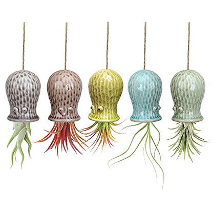 5 Pack Air Plant Holder Unique, Cute Octopus Air Plant Hanger Wall Planter, Ceramic Tillandsia Airplants Holders Hanging Wall Decor for Home Office (Small (2 x 3.2 in)) - size: Octopus-Small (2 x 3.2 in)