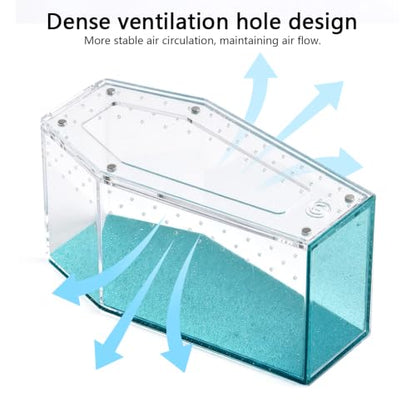 Installation Free Glitter Acrylic Coffin Jumping Spider Enclosure - Gothic Terrarium Habitat with Magnetic Lid, Micro Reptile Breeding Box for Slings, Mantis, Isopods and Small Insects (Glitter Blue) - color: Glitter Blue