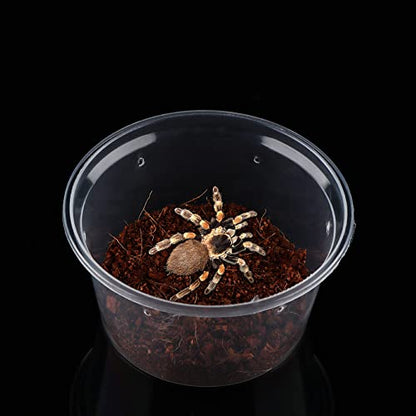 10 Pcs Spider Terrariums Breeding Box Small Round Hatching Container Acrylic Feeding Box for Spider Scorpion Centipede Insect