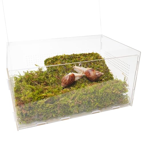 Snail Terrarium Kit with Climbing Accessories11.22 L x 7.87" W x 6" H Clear Small Animal House for Snails, Caterpillars& Small Critters – Includes 7" Climbing Wall and Substrate