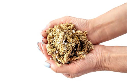 Sphagnum Moss Potting Mix for Carnivorous Plants, Moss and Perlite Blend for Potting Venus Fly Traps, Sarracenia, Pitcher Plants - 75% Sphagnum Moss + 25% Perlite - Made in USA - 4 Quart - size: 4 Quart Bag, style: Carnivorous Plant Soilless Mix