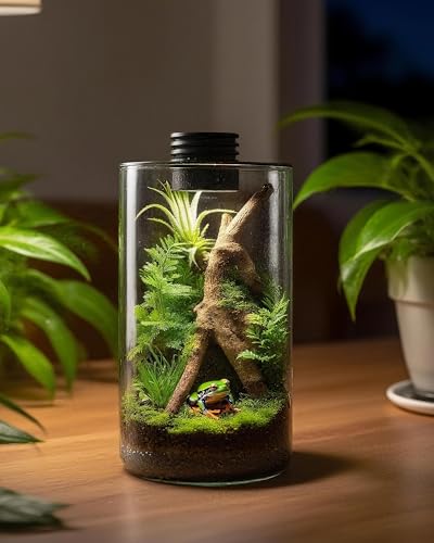 Desktop Glass Terrarium with Grow Light (9.8" H x 5.9" D) - for Succulents, Moss, Mini Gardens, Betta Fish Tanks, Mushroom Cultivation | Indoor Plant Growth | Office/Home Decor | Plant Lover Gifts - size: 9.8”
