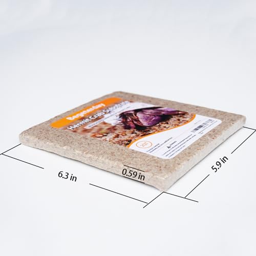 Natural Premium Sphagnum Moss Fiber Substrate for Hermit Crab, Ideal Accessories for Hermit Crab Tanks, Great for Mixing with Hermit Crab Sand (Pack of 2) - size: 2QT (Pack of 2)