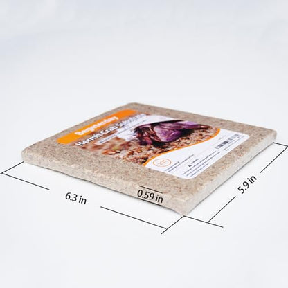 Natural Premium Sphagnum Moss Fiber Substrate for Hermit Crab, Ideal Accessories for Hermit Crab Tanks, Great for Mixing with Hermit Crab Sand (Pack of 2) - size: 2QT (Pack of 2)