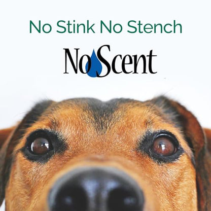 No Scent Crate Kennel & Floor Cleaner for Dog Run, Cat Carrier, Hard Surface Pet Odor & Stain Management (2 Fl Oz / 59 mL) - size: 2 Fl Oz (Pack of 1)