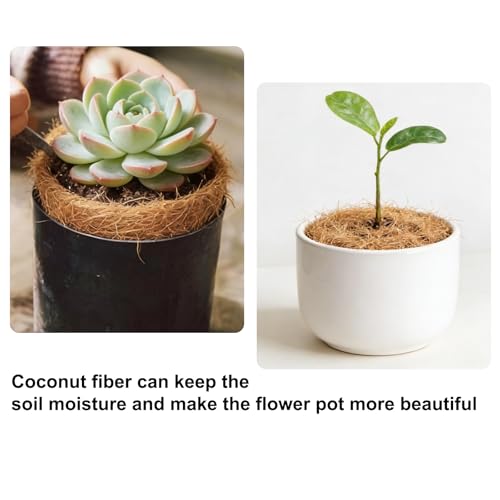 0.22 Pounds Long Coconut Husk Fiber, Mulch Silk Filling for Orchids Clean, Coconut Shell Moss Covering, Lizard Incubator Bedding Materials, Flower pots,Bird Nest