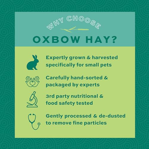 Oxbow Orchard Grass Hay, Rabbit & Guinea Pig Hay, High Fiber for Digestive Health, Grown in the USA, Veterinarian Recommended Small Pet Supplies, for Rabbits, Guinea Pigs, & Chinchillas, 15 oz. | Hand-Sorted, De-Dusted, Oxbow Orchard Grass Hay, Bunny Hay