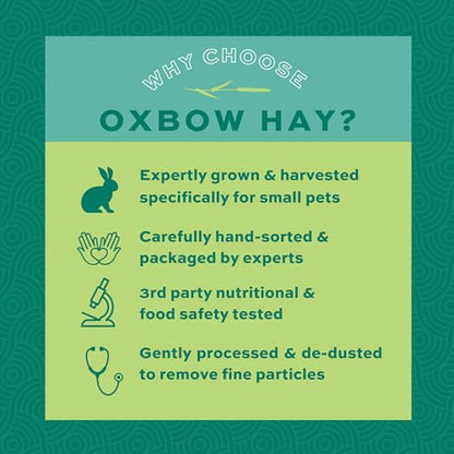 Oxbow Orchard Grass Hay, Rabbit & Guinea Pig Hay, High Fiber for Digestive Health, Grown in the USA, Veterinarian Recommended Small Pet Supplies, for Rabbits, Guinea Pigs, & Chinchillas, 15 oz. | Hand-Sorted, De-Dusted, Oxbow Orchard Grass Hay, Bunny Hay