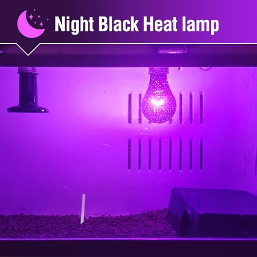 Leoterra Reptile Night Heat Lamp 2-Pack 100W - Purple Moonlight Simulation Bulb 40+Gallons Tank Use for Chameleons, Snakes, Green Iguanas Lizard Use 120V E26 Base 2000+ Hours Long Life - style: 100w