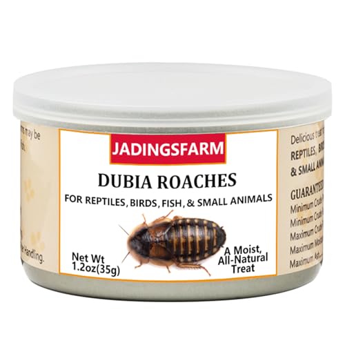 6 Pack Canned Dubia Roaches for Reptiles, Birds and Small Animals, Dubia Roaches, Healthy High Protein Treat, Reptile Food 7.2 Ounces Total