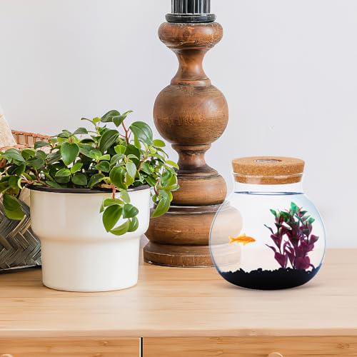 Glass Terrarium Jar with Led Light, Closed Terrarium Jar with Lid for Moss, Succulents and Betta Fish Tank, Large Clear Round Desk Plant Container Ecosystem for Home & Office Decor (no Plants) - size: 14.00X13.00X13.00CM