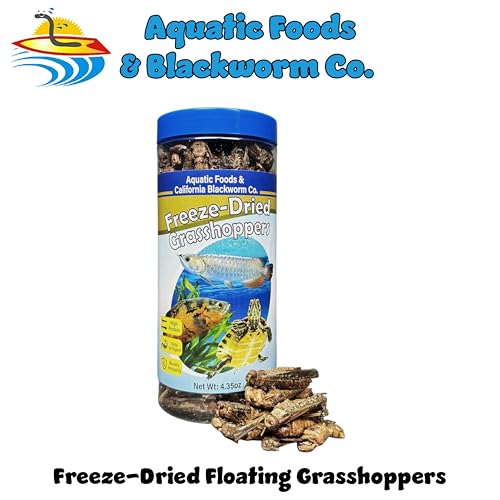 Grasshoppers, Freeze Dried Grasshoppers for Large Tropical Fish, Monster Fish, Reptiles, Turtles, Tortoises, Frogs, Hamsters, Birds, Rodents 4.3oz Canister - size: 4.3 Ounce (Pack of 1)