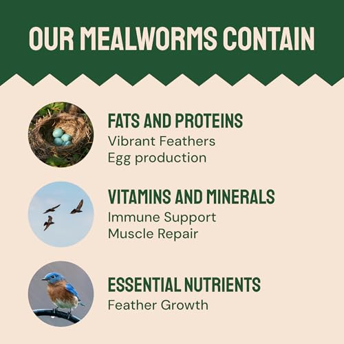 Hatortempt 2lb Dried Mealworms for Chickens, Birds, High Protein Bird Feed | High-Protein Wild Bird Food - Organic Diet Meal Worms - Hand Inspected Treats for Blue Birds, Robin, Ducks - 2 Yr Shelf Life - size: 2 Pound (Pack of 1)