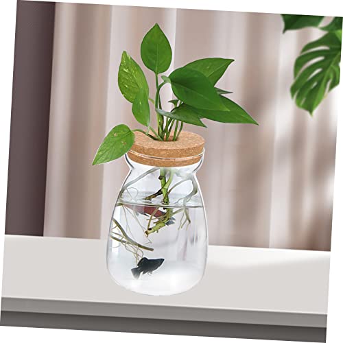 Glass Propagation Jar for Micro Landscape Display and Stable Holding | Viewing, Wood and Glass Build, Living Room Study Placement, Aquarium Gravel or Embellishment Use