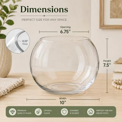 Glass Bubble Vase, 8" Height x 10" Width Glass Fish Bowl, Bubble Bowl for Terrarium, Flower Centerpiece - size: Bubble Bowl : 7.8" Height x 10" Width