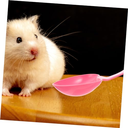 10pcs Love Spoon Pet Food Scoop Reptile Pet Feeding Spoon for Kitten Hamster