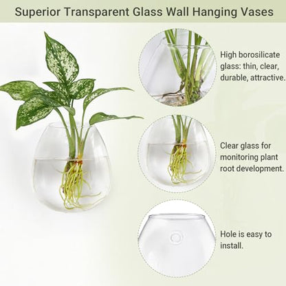 Dahey Wall Propagation Vases, 4 Pack Oblate Borosilicate Glass Planters | Fits Hydroponic Cuttings & Flowers, Drill-Free Mount, Easy Clean, Clear Root View, Heat-Resistant, Home Decor, Plant Gift