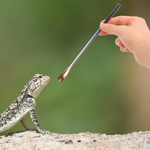 POPETPOP Pet Feeding Spoon Small Reptile Enclosure Tool Lizard Food Scoop Stainless Steel Lightweight and Portable - color: As Shown 2