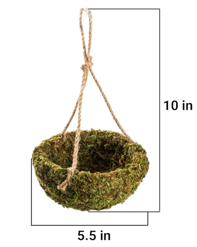 Handmade Crested Gecko Tank Decor – Hanging Shelter for Bearded Dragon Accessories, Reptile Hammock, Hermit Crab, Snake and Other Small Reptiles