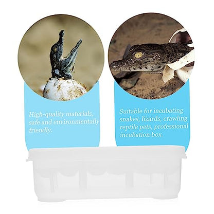 LIOOBO Egg Incubator for Reptile Lizard and Gecko Breeding Box 12 Grids Easy to Use