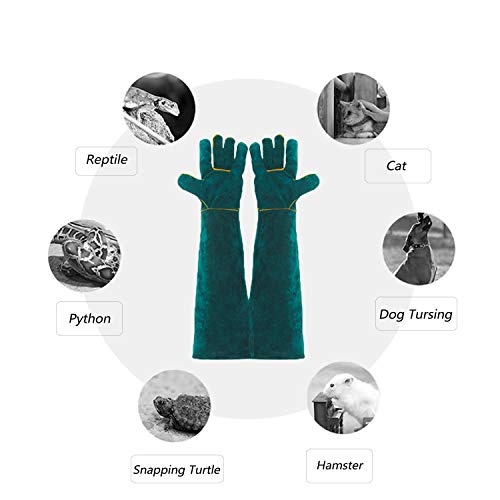 Animal Handling Gloves - 60CM Durable Bite & Scratch Resistant Gloves for Bathing, Grooming, Welding, Handling Dogs, Cats, Birds, Snakes, Parrots, Lizards, Reptiles - color: Green, 60 Cm