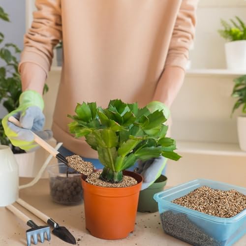 Sukh 14.6oz Organic Vermiculite for Plants - Gardening & Potting Supplies | Soil Amendment for Seed Starting, Indoor Potting, Gardening, Fine - Moisture Retention, Coarse - Aeration & Drainage - size: 3-6MM