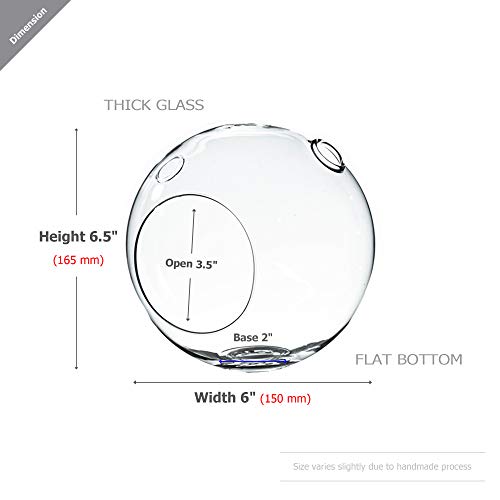 WGV Planter Terrarium Bulk, Width 6" Height 6.5", Clear Globe Glass Vase Container Orb with Two Side Opening, DIY Air Planter, Votive Candle Holder for Decor, 6 Pieces - size: Double Opening Orb