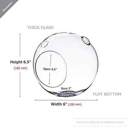 WGV Planter Terrarium Bulk, Width 6" Height 6.5", Clear Globe Glass Vase Container Orb with Two Side Opening, DIY Air Planter, Votive Candle Holder for Decor, 6 Pieces - size: Double Opening Orb