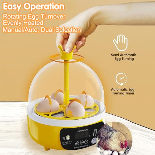 Tissting 4-Egg Mini Incubator with Transparent Lid | 7W Power & Humidity Control | Clear Viewing Window | Manual Egg Turning | for Chicken, Duck, Quail, Pigeon(Manual Turning) - color: 4 Eggs Manual Turning