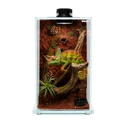 Bioloark BIO Bottle Large Glass Terrarium with LED Grow Light, Professional Tall Moss Terrarium with Adjustable Ventilation, Low-Iron Glass for Moss, Succulents FD-250 (10.6" x 10.6" x 20") - color: FD-250 (10.6"X10.6"X20")