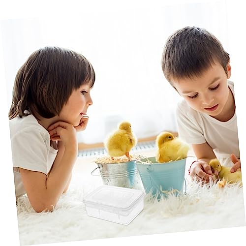 Toyvian 2pcs Reptile Hatchery Box Compartments Incubation Tray for Lizard and Tortoise Eggs Durable Transparent Easy to Clean and Organize Reusable Breeding Tool
