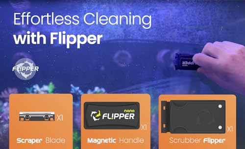 - Flipper Nano Aquarium Algae Cleaner For Glass Tanks Only Upto 1/4-Inch … - size: 1 Count (Pack of 1)