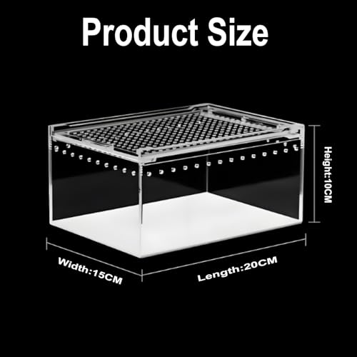 8" x 6"x 3.9" Mini Reptile Terrarium,Small Plastic Terrarium for Lizards Frogs Snakes,Transparent Spider Scorpion Insect Enclosure with Ventilation,for Pet Breeding Molting and Isolation Habitat