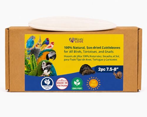 Birds LOVE 7.5-8" Cuttlebone for Birds – 100% Natural Sun-Dried Calcium Carbonate Mineral Supplement – for Parakeets, Budgies, Cockatiels, Finches & Canaries – 2 Pack with Holder – Made in Vietnam - size: 2 Count (Pack of 1)