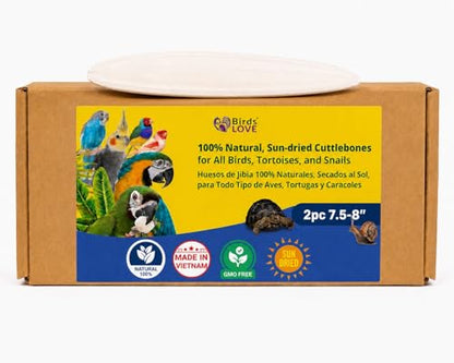 Birds LOVE 7.5-8" Cuttlebone for Birds – 100% Natural Sun-Dried Calcium Carbonate Mineral Supplement – for Parakeets, Budgies, Cockatiels, Finches & Canaries – 2 Pack with Holder – Made in Vietnam - size: 2 Count (Pack of 1)