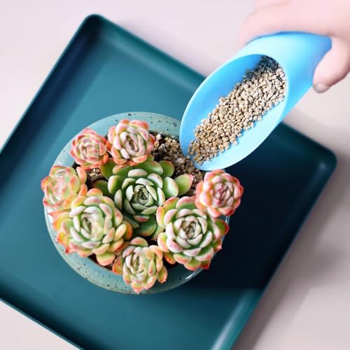 ROYHOO 9PCS Bonsai Soil Scoop Plastic Succulent Soil Scoop Indoor Plants Little Small Potting Shovel Bucket Shovel for Garden Planting