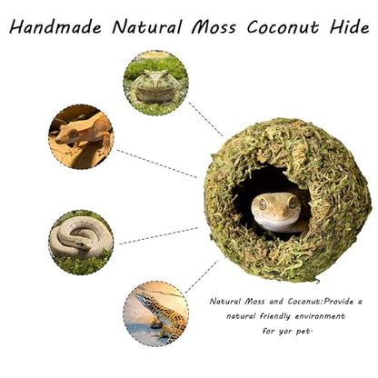 Reptile Hideout Cave - Natural Coconut Moss Terrarium Decor & Snake Hide - Leopard Gecko Hide - Reptile Tank Accessories & Habitat Hideouts for Bearded Dragon