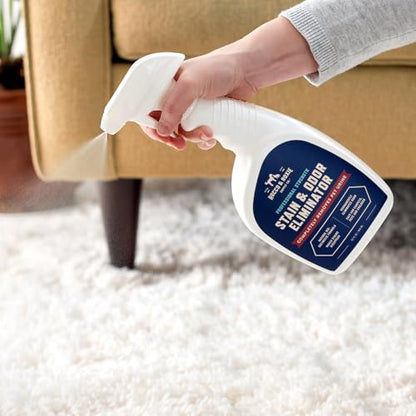 Rocco & Roxie Enzyme Stain & Odor Eliminator, 32 Fl Oz | Bio-enzymatic urine destroyer; CRI Certified Safe; made in USA; for carpets, bedding, litter boxes, crates & cars - size: 32 Fl Oz (Pack of 1)