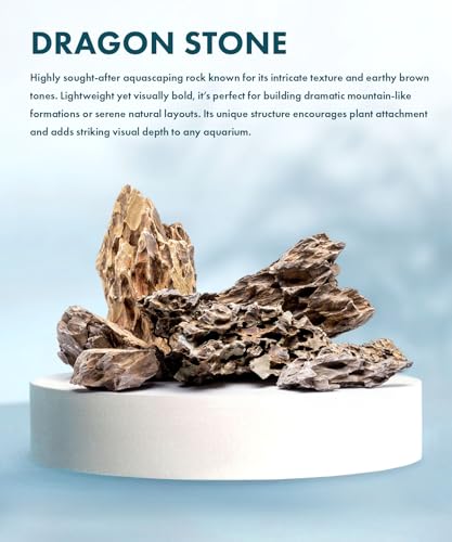 Natural Stone for Aquarium, Terrarium, Paludarium, Reptile Enclosures - Set of Decorative Rocks for Landcapes, Aquascaping, Fish Tank Decor (Dragon Stone, 5 Pounds)