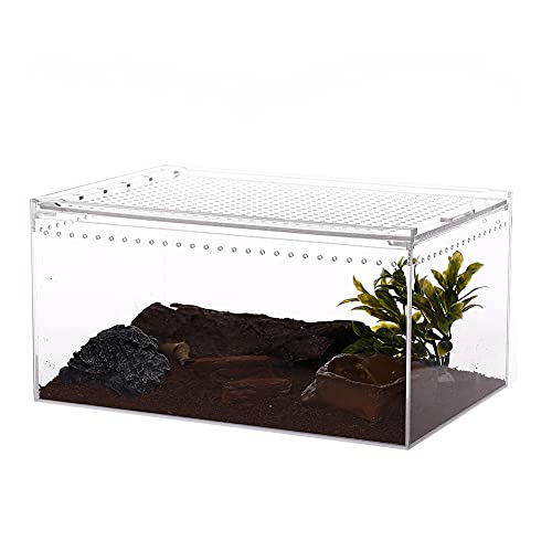 NANEEZOO Magnetic Enclosure for Spider, 12 x 8 x 6 Inch Reptile Breeding Box Terrarium Cage for Insect Tarantulas Amphibians Caterpillars Snail Clear Reptile Feeding Box