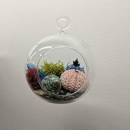WGVI WGV Hanging Terrarium Globe, Width 8", Height 9", DIY Air Succulent Planter, Clear Glass Vase Orb with Flat Bottom, Candle Holder for Windowsill Outdoor Garden Decor, 1 Piece - size: 8" Flat Bottom