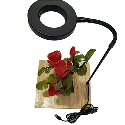 Full Spectrum LED Aquarium Light for Under 1.5 Gallon Fish Tank 10w | W/Bamboo Board,Nano Fish Tank Light USB Powered 360 Degree Bettas Fish Tank Lights for Plant - size: S/17x18.5cm
