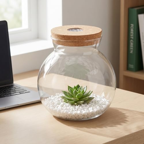 Abaodam Glass Terrarium Jar with Led Light Base, Small Container for Indoor Plants, DIY Micro Landscape Ecosystem Kit for Fish Tank Desktop Decor