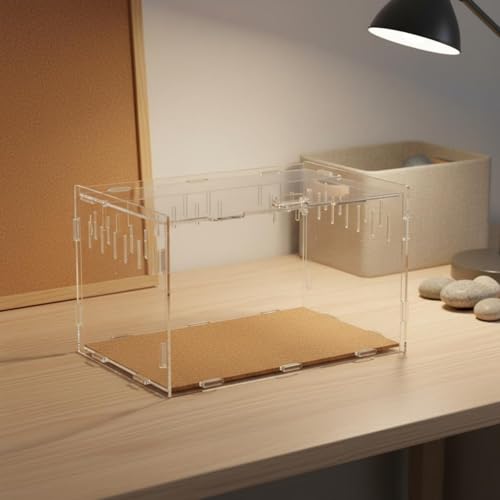 Transparent Reptile Enclosure Through Quality Clear Reptile Habitat Secure Latch Clear Acrylic Terrarium for Arachnid Enthusiasts, 12-12-20 - style: 12-12-20